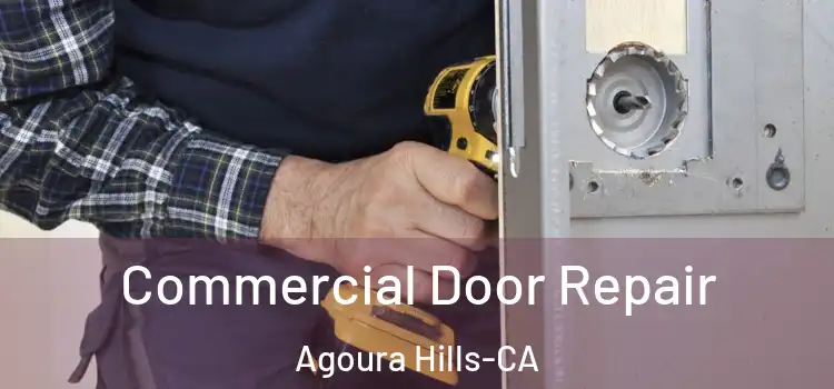 Commercial Door Repair Agoura Hills-CA